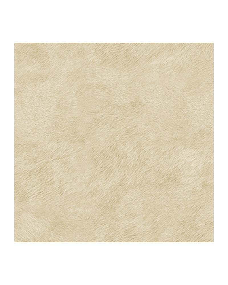 Papier peint VP-617-02 TRIBECA ( coordinado ) - Elitis Papier peint VP-617-02 TRIBECA ( coordinado ) - Elitis