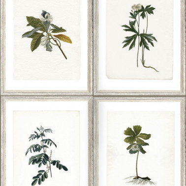 Papel de parede BOTANY WP20153 - MIND THE GAP