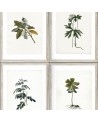 Papier peint BOTANY WP20153 - MIND THE GAP