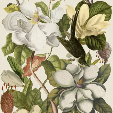 Papel Pintado MAGNOLIA Taupe WP20152 - MIND THE GAP