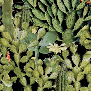 Papel Pintado OPUNTIA Anthracite WP20165 - MIND THE GAP