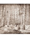 Papel de parede 6500202 BROKEN FOREST SEPIA - COORDONNE