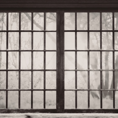 Papel Pintado 6500209 JAPANESE WINDOW - COORDONNE