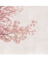 Carta da Parati 6500306 BLOSSOM ALMOND TREE PINK - COORDONNE