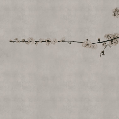 Papel Pintado 6500307 BLOSSOM BRANCH GREY - COORDONNE