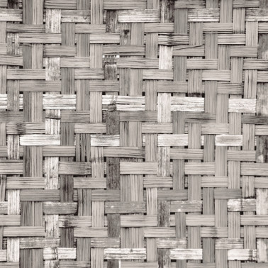 Papier peint 6500320 PALM TREE FRAME GREY - COORDONNE