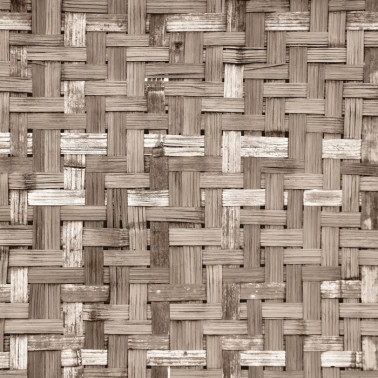 Papel Pintado 6500321 PALM TREE FRAME SEPIA - COORDONNE