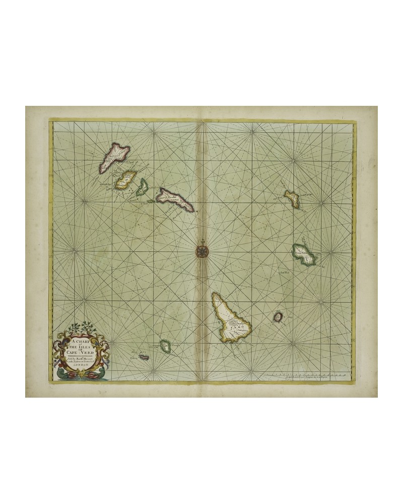 Papier peint 6500104 CAPE VERD - COORDONNE