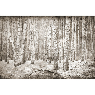 6500202 BROKEN FOREST SEPIA