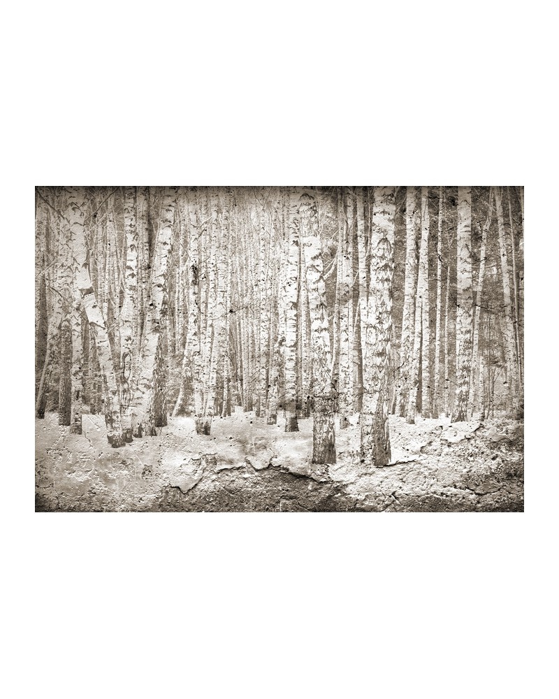 Papel Pintado 6500202 BROKEN FOREST SEPIA - COORDONNE