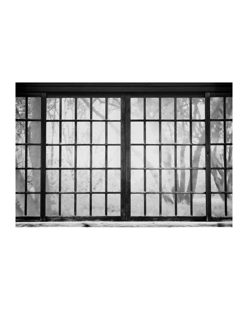 Carta da Parati 6500209 JAPANESE WINDOW - COORDONNE