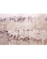 Wallpaper 6500301 PINK OLD WALL - COORDONNE
