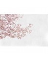 Papier peint 6500306 BLOSSOM ALMOND TREE PINK - COORDONNE