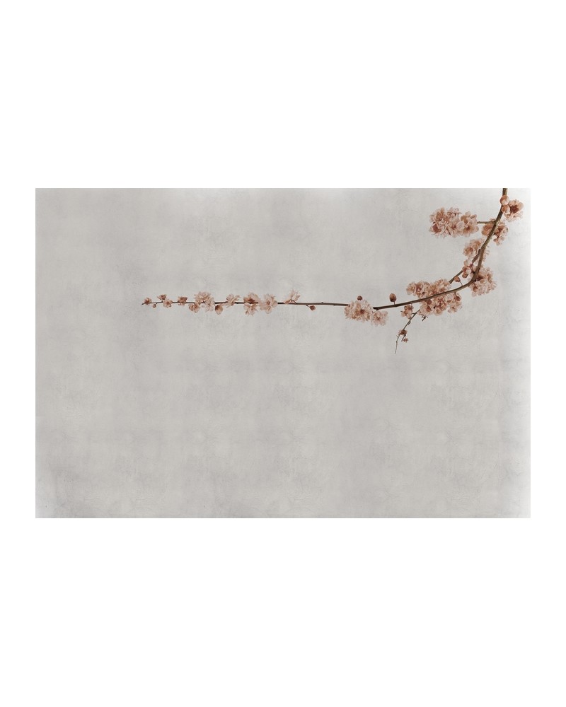 Papier peint 6500308 BLOSSOM BRANCH PINK - COORDONNE