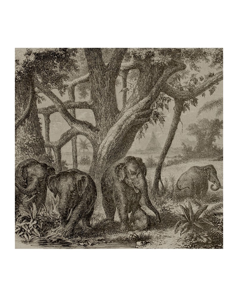 Carta da Parati 6500506 ELEPHANTS - COORDONNE