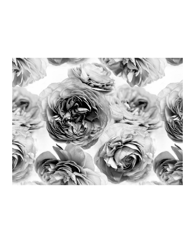 Papel Pintado R13092-8 SUMMER WIND BLACK AND WHITE - REBEL WALLS Papel Pintado R13092-8 SUMMER WIND BLACK AND WHITE - REBEL WALLS