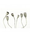Tapete R12991-8 SIMPLE SEEDPOO - REBEL WALLS