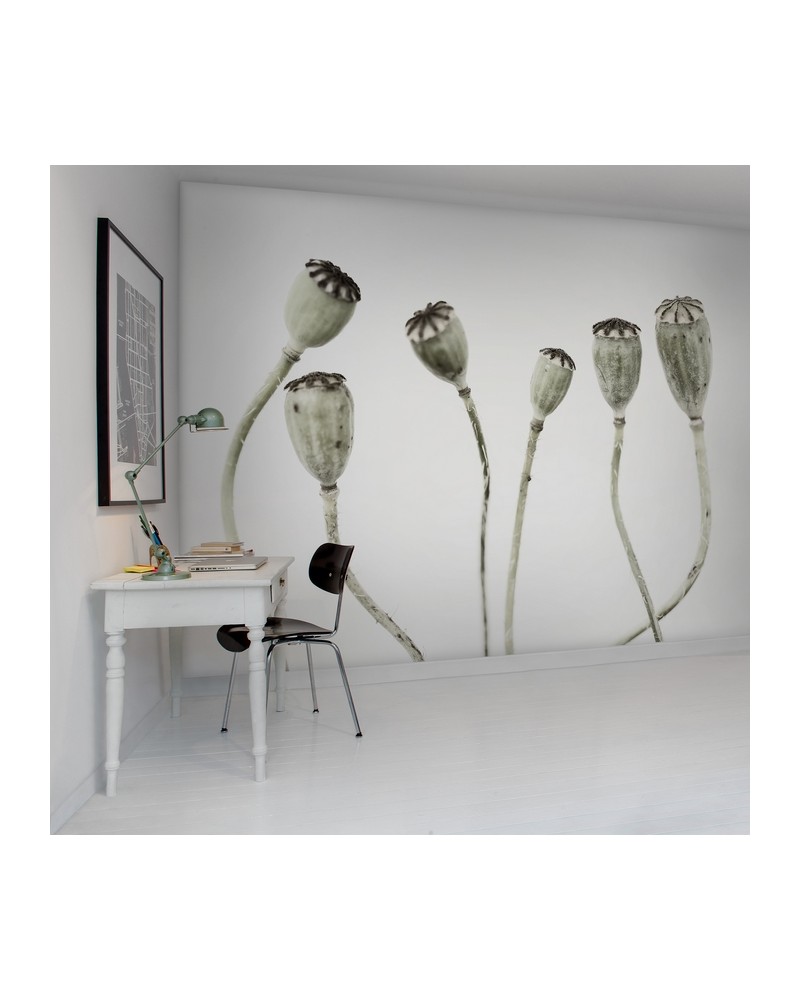 Tapete R12991-8 SIMPLE SEEDPOO - REBEL WALLS