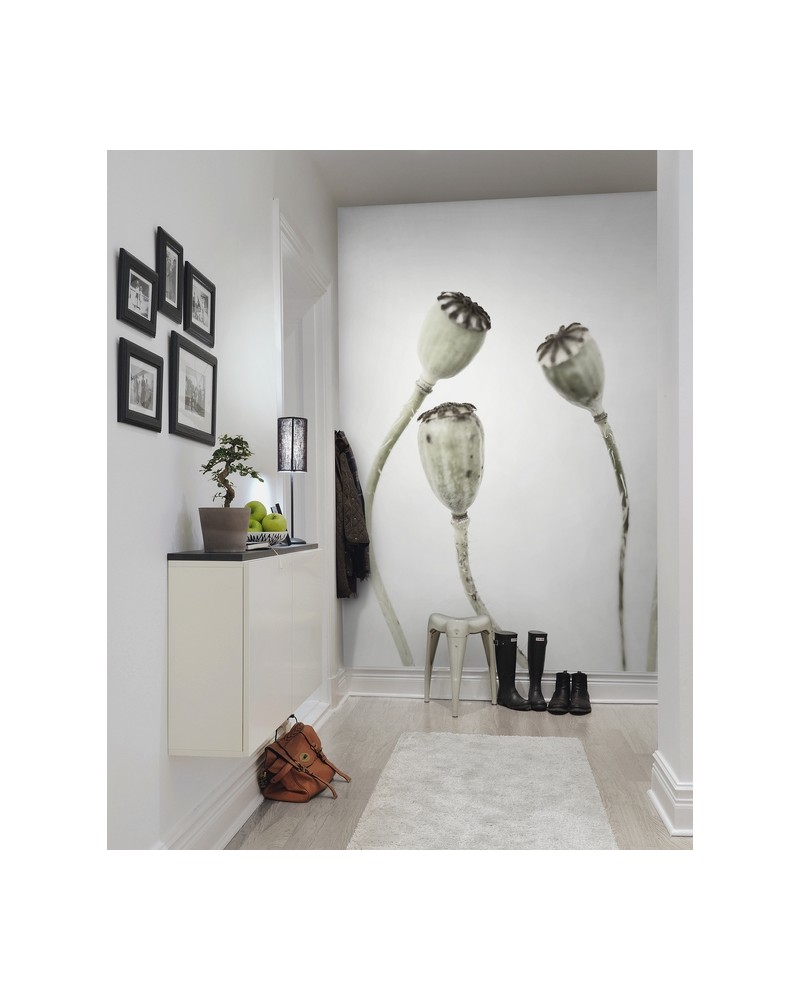 Tapete R12991-8 SIMPLE SEEDPOO - REBEL WALLS