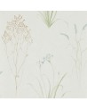 FARNE GRASS