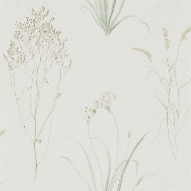 Papel de parede FARNE GRASSES DEBB216488 - Sanderson