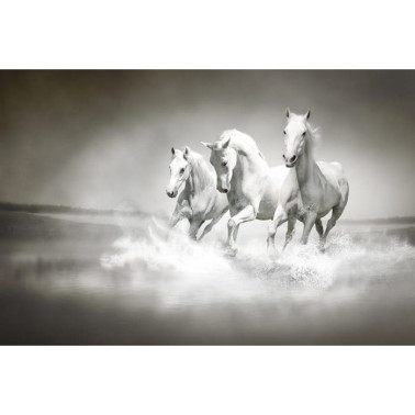 Papier peint R10201 Horses - REBEL WALLS