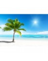 Papel de parede R10391 Paradise - REBEL WALLS