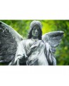 Wallpaper R11331 Garden Sculpture - REBEL WALLS