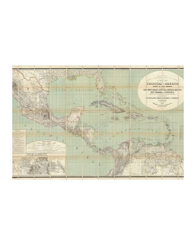 Papel de parede R11381 Tropical America - REBEL WALLS Papel de parede R11381 Tropical America - REBEL WALLS