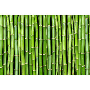 Papier peint R11821 Bamboo - REBEL WALLS