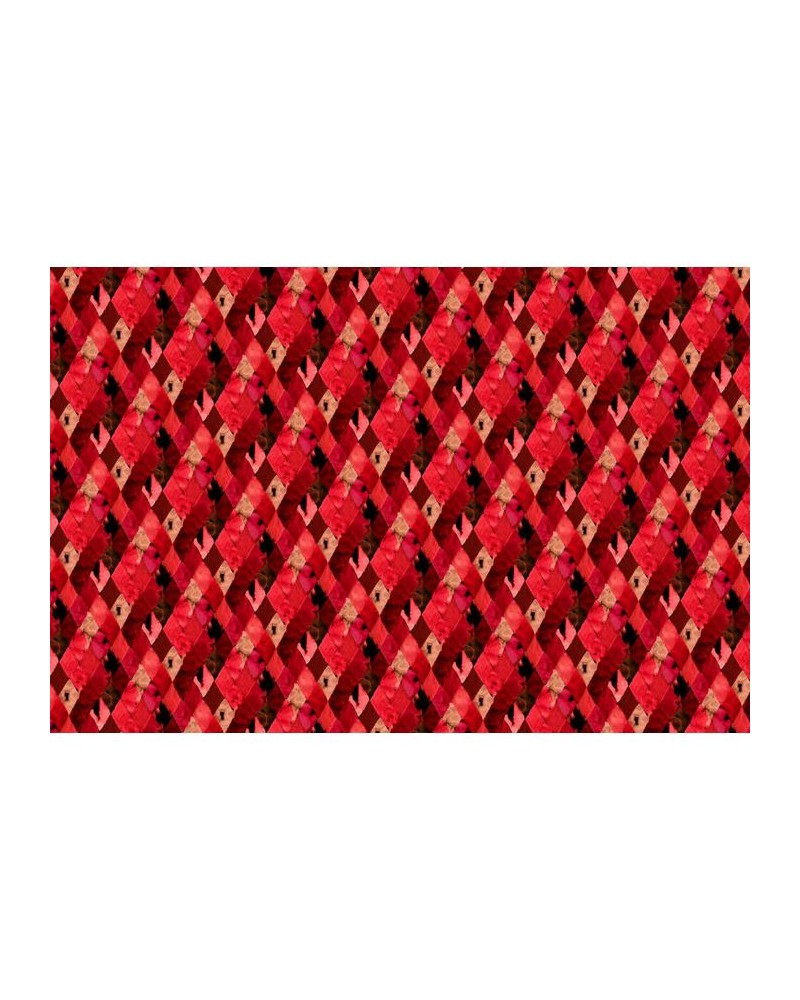 Wallpaper R12231 Harlequin, red - REBEL WALLS Wallpaper R12231 Harlequin, red - REBEL WALLS