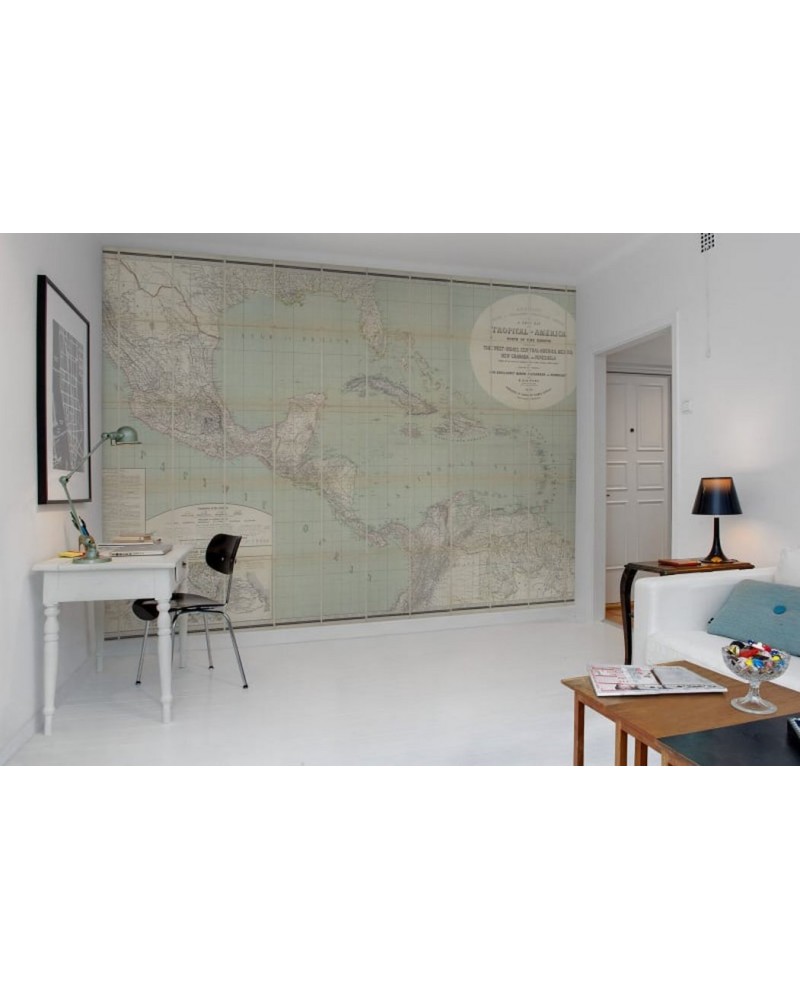 Papier peint R11381 Tropical America - REBEL WALLS