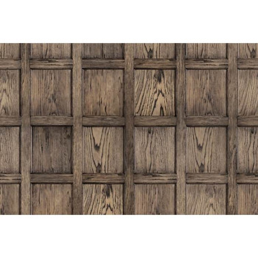 Wallpaper R12881 Panel - REBEL WALLS