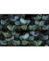 Papel Pintado R15091 Peacock Plumage - REBEL WALLS