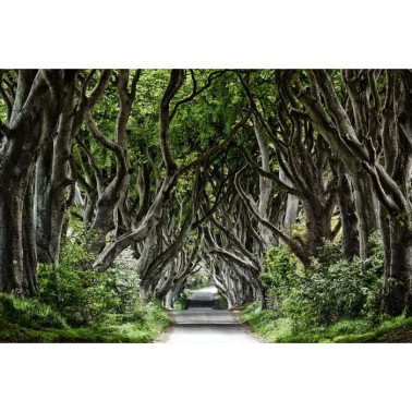 Papel Pintado R15251 Magical Alley - REBEL WALLS