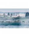 Tapete R15291 Morning Haze - REBEL WALLS