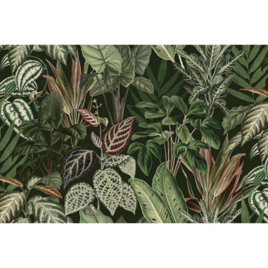 Papel de parede R14592 Mischievous Monkeys, Lush - REBEL WALLS