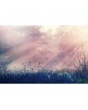 Papel de parede R15361 Pink Dawn - REBEL WALLS