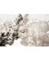 Tapete R15452 Frozen Moment, Cream - REBEL WALLS