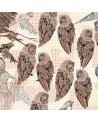 Papel de parede PENCIL BIRDS WDPB1602 - WALL AND DECO