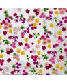Carta da Parati PROFUMO WDPO1602 - WALL AND DECO