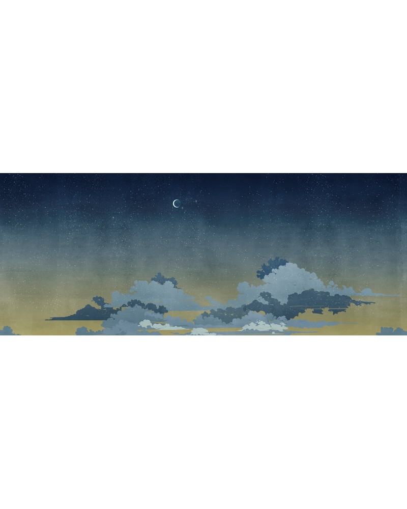 Carta da Parati NOTTURNO BLU WDNB1602 - WALL AND DECO