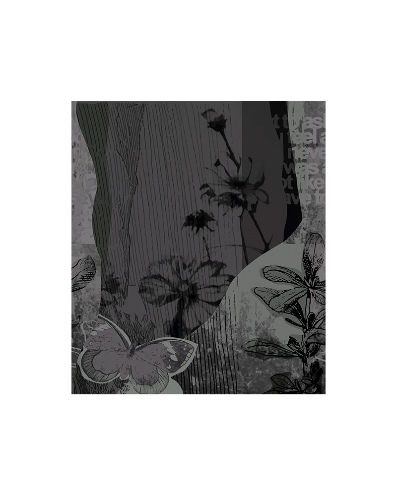 Carta da Parati ORCHIDALIA WDOR1602 - WALL AND DECO