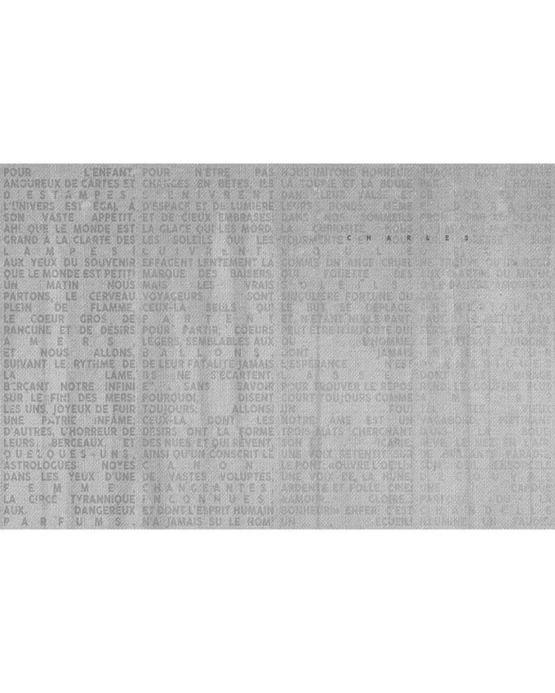 Carta da Parati VOYAGE WDVE1602-A - WALL AND DECO
