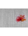 Papel de parede VOYAGE WDVO1602-B - WALL AND DECO
