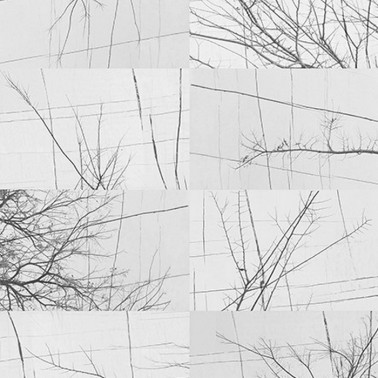 Papier peint BOIS D'HIVER WDBH1701 - WALL AND DECO