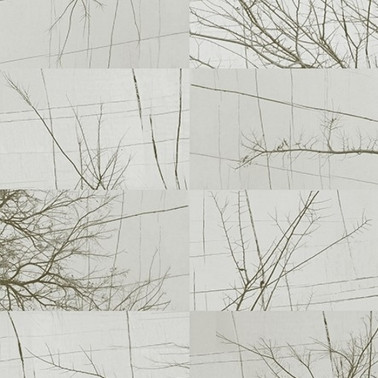 Papel de parede BOIS D'HIVER WDBH1702 - WALL AND DECO
