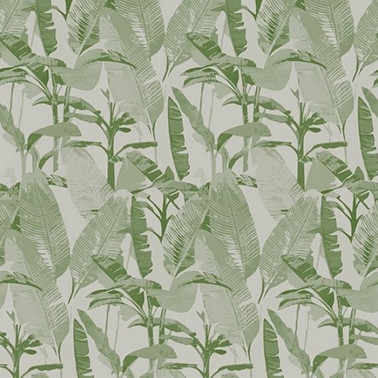 Papel de parede LOST PARADISE WDLP1702 - WALL AND DECO