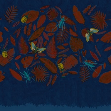 Papel Pintado ZOONIMO WDZO1703 - WALL AND DECO