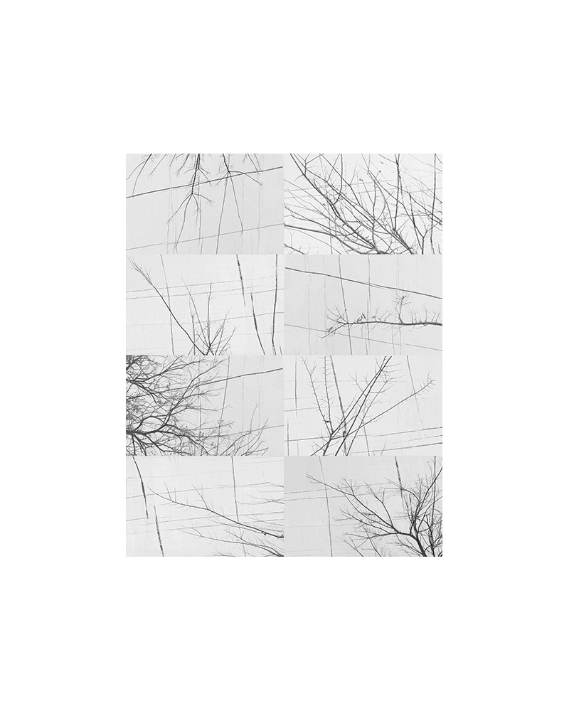 Papel Pintado BOIS D'HIVER WDBH1701 - WALL AND DECO
